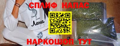 стаф Кунгур