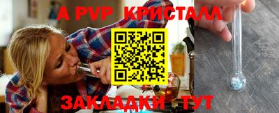 стаф Кунгур