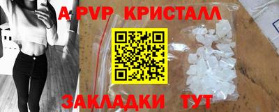 стаф Кунгур